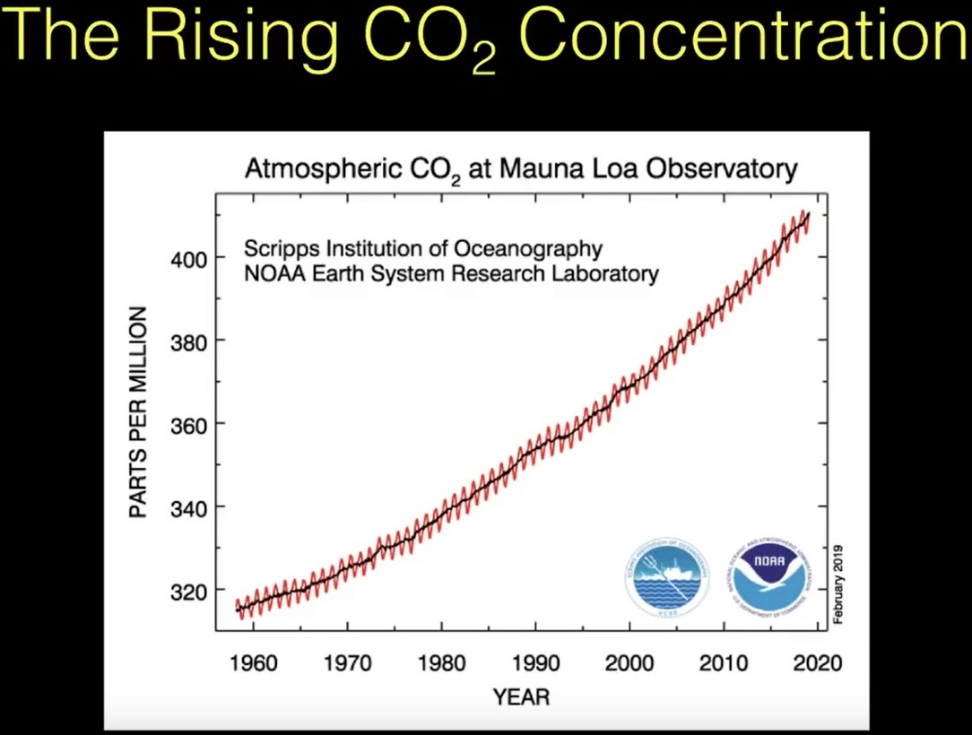 The rising CO2 concentration