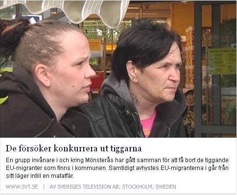 Klicka här för att gå till artikeln i SVT, 2015-05-06