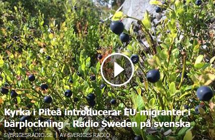 Klicka här för att gå til artikeln i PT, 2015-08-26