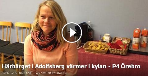 Klicka här för att gå till artikeln i SR, 2015-12-14