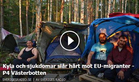 Klicka här för att gå till artikeln i SR, 2015-12-03