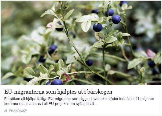 Klicka här för att gå till artikeln i Allehanda, 2016-01-26