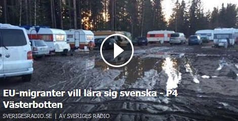 Klicka här för att gå till artikeln i SR, 2016-05-09