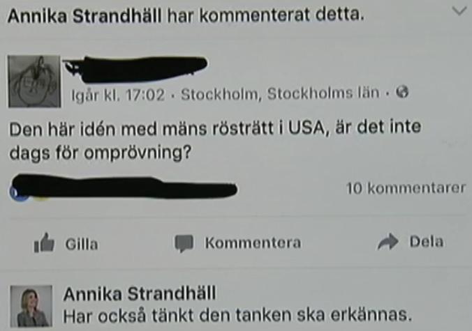 Annika Strandhäll och mäns rösträtt
