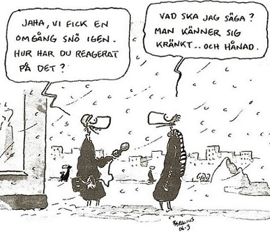 Politiskt korrekt
