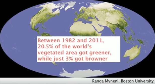 Mellan 1982 och 2011 (29 år) blev 20,5% av världens område med vegetation grönare medan endast 3% blev brunare. Tack vare koldioxiden och ett bättre klimat Mellan 1982 och 2011 (29 år) blev 20,5% av världens område med vegetation grönare medan endast 3% blev brunare. Tack vare koldioxiden